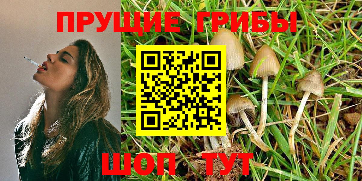Галлюциногенные грибы Cubensis Зеленокумск