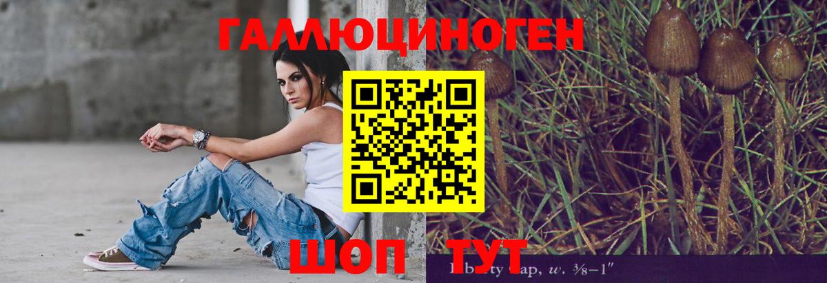 Псилоцибиновые грибы Magic Shrooms  Галлюциногенные грибы ЛСД  Зеленокумск  Вход с VPN 